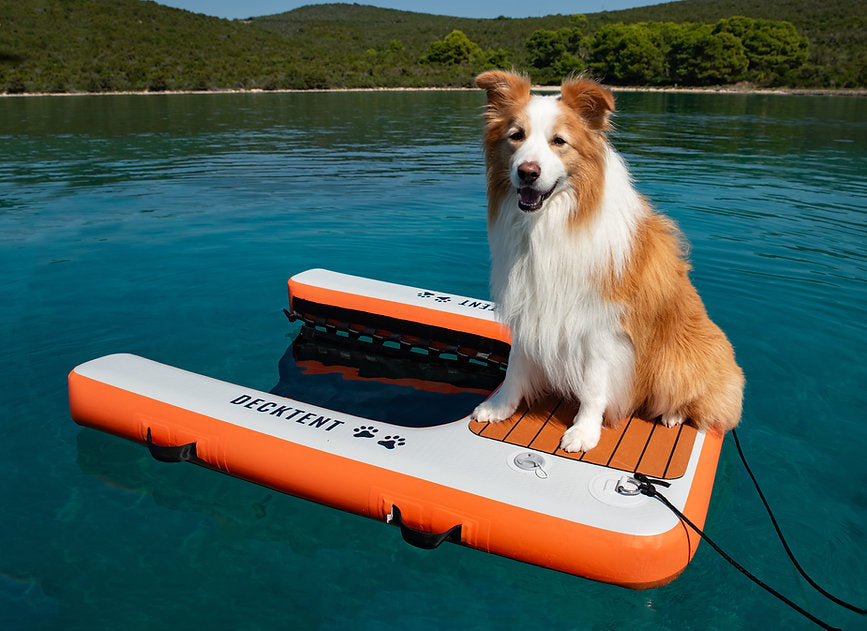 DECKTENT DOG RAMP LARGE – NAPIHLJIVA RAMPA ZA PSE - VELIKA