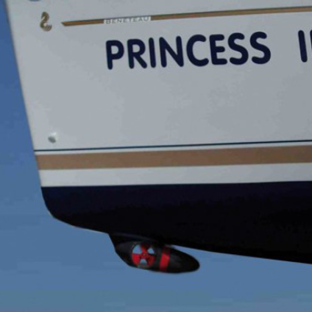 EX95 – ZUNANJI PREMČNI ALI KRMNI POTISNIK 24V – 67–95 KG POTISNE SILE