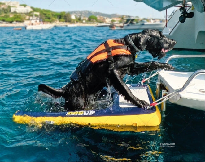 DOG UP – NAPIHLJIVA LESTEV ZA PSE NA PLOVILU!