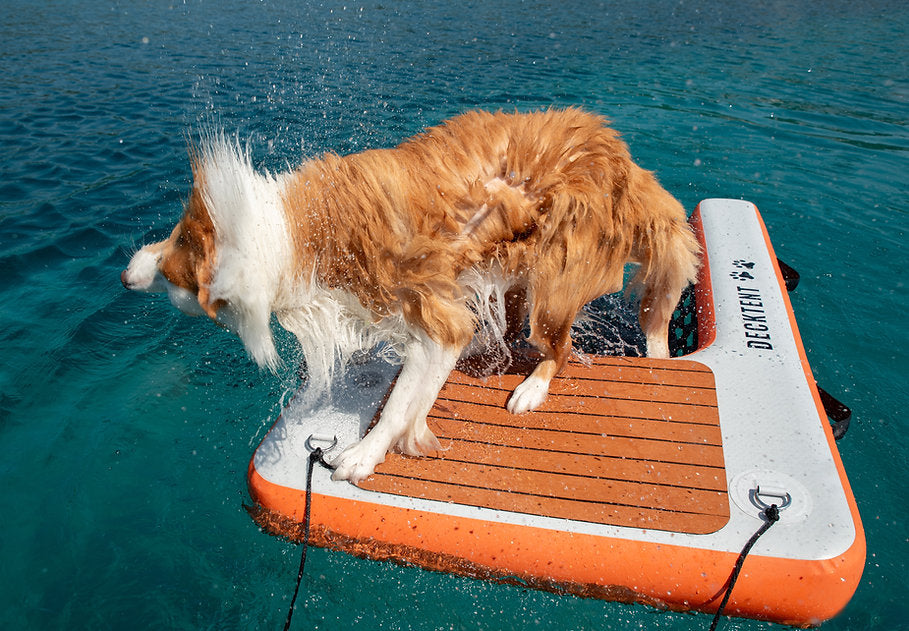 DECKTENT DOG RAMP LARGE – NAPIHLJIVA RAMPA ZA PSE - VELIKA