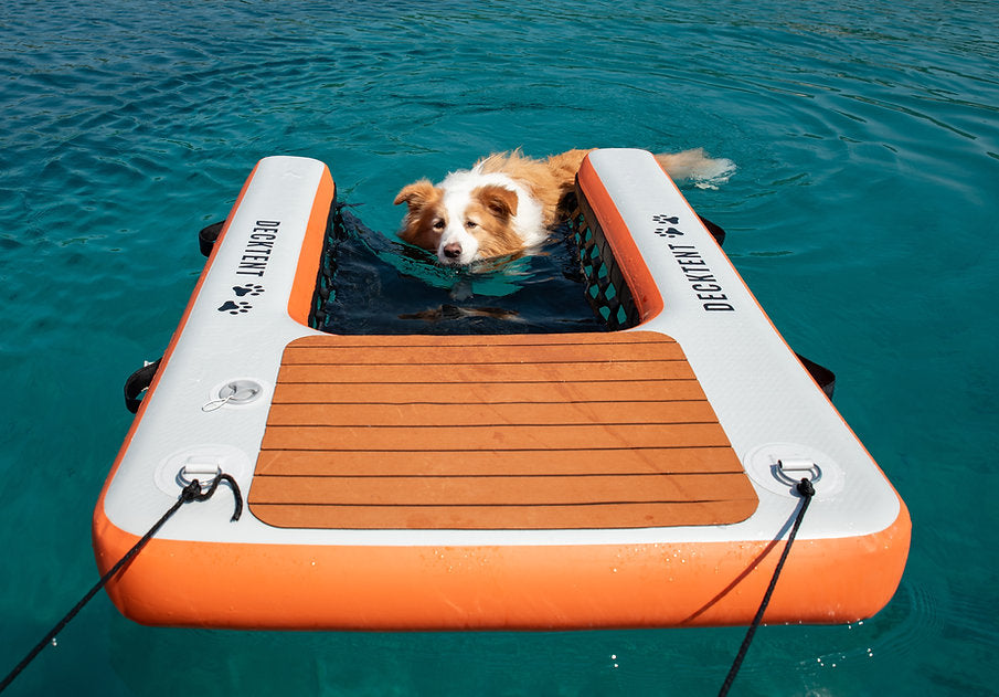 DECKTENT DOG RAMP LARGE – NAPIHLJIVA RAMPA ZA PSE - VELIKA