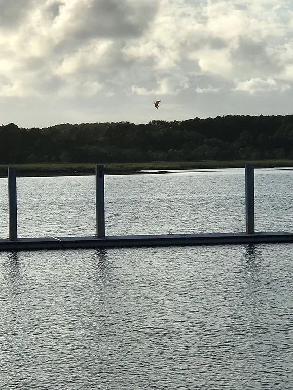 STOPGULL FALCON – UČINKOVIT ODGANJALNIK PTIC ZA JADRNICE IN GLISARJE