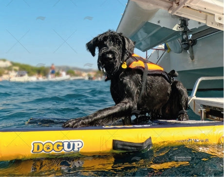 DOG UP – NAPIHLJIVA LESTEV ZA PSE NA PLOVILU!